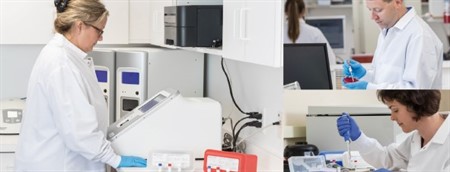 Try for Free: Controls for Molecular Assays